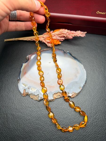 Damla Kehribar Yetişkin Kolye