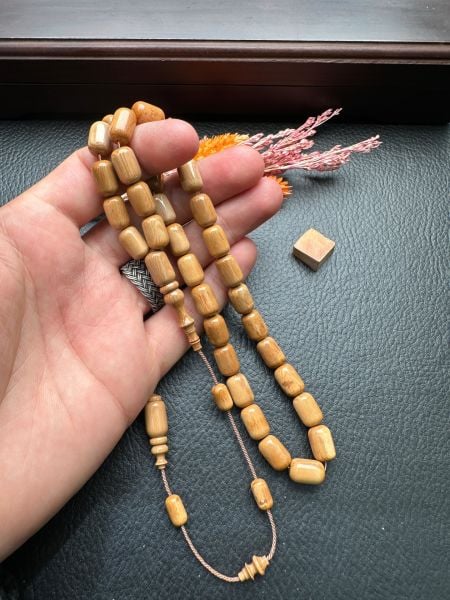 Kapsül  Model Mamut Dişi Tesbih