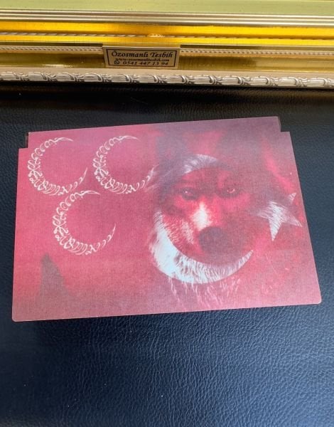 Kapsül Model Kutulu Katalin Tesbih